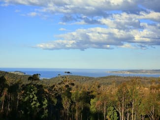 Rural / Farming commercial property for sale at 181 Silver Top Crs, NULLICA Via Eden NSW 2551 Rural / Farming commercial property for sale at 181 Silver Top Crs, NULLICA Via Eden NSW 2551