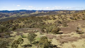 Rural / Farming commercial property sold at 67 Bullocks Flat Road Upper Turon NSW 2795