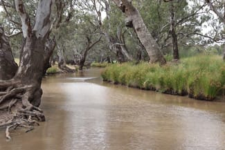Rural / Farming commercial property for sale at Parkes NSW 2870 Rural / Farming commercial property for sale at Parkes NSW 2870