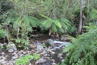 Rural / Farming commercial property sold at Lot 2 Off Neringla Road Braidwood NSW 2622