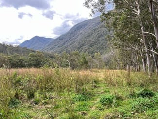 Rural / Farming commercial property sold at 48/1118 Neringla Road, Braidwood NSW 2622 Rural / Farming commercial property sold at 48/1118 Neringla Road, Braidwood NSW 2622