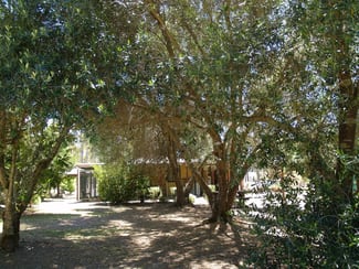 Rural / Farming commercial property sold at 7409 Vasse Highway Carlotta WA 6275 Rural / Farming commercial property sold at 7409 Vasse Highway Carlotta WA 6275