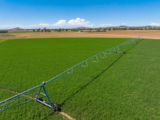 Rural / Farming commercial property for sale at North Logan Road Cowra NSW 2794 Rural / Farming commercial property for sale at North Logan Road Cowra NSW 2794