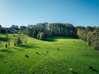 Rural / Farming commercial property sold at Lot 2/265 Wildes Meadow Road Wildes Meadow NSW 2577 Rural / Farming commercial property sold at Lot 2/265 Wildes Meadow Road Wildes Meadow NSW 2577