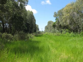Rural / Farming commercial property sold at - Bluff Road Bilyana QLD 4854 Rural / Farming commercial property sold at - Bluff Road Bilyana QLD 4854