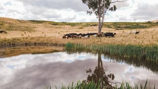 Rural / Farming commercial property sold at . Lanes Tier Road Ouse TAS 7140 Rural / Farming commercial property sold at . Lanes Tier Road Ouse TAS 7140
