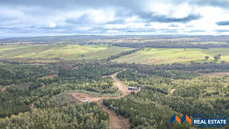 Rural / Farming commercial property sold at 1090 Diffey Road Everton Upper VIC 3678 Rural / Farming commercial property sold at 1090 Diffey Road Everton Upper VIC 3678