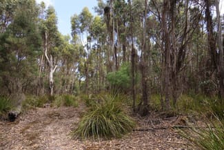 Rural / Farming commercial property for sale at 158 Blundstones Road Whitemark TAS 7255