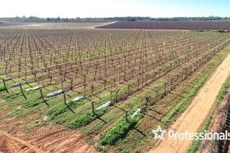 Rural / Farming commercial property for sale at 160 Channel Road Coomealla NSW 2717 Rural / Farming commercial property for sale at 160 Channel Road Coomealla NSW 2717