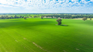 Rural / Farming commercial property for sale at 'Part Glenmoira'/524 Munyaplah Settlement Rd Alma Park NSW 2659