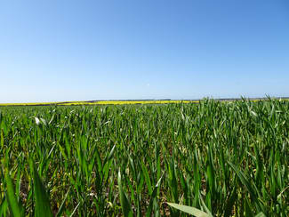Rural / Farming commercial property sold at 4 King Rocks Road West Hyden WA 6359 Rural / Farming commercial property sold at 4 King Rocks Road West Hyden WA 6359
