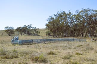 Rural / Farming commercial property sold at 1453 Windeyer Road Mudgee NSW 2850 Rural / Farming commercial property sold at 1453 Windeyer Road Mudgee NSW 2850