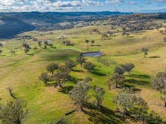 Rural / Farming commercial property sold at 1 Ponds Lane Orange NSW 2800