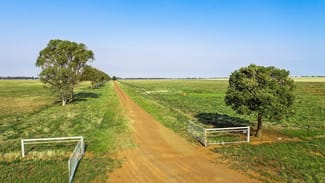 Rural / Farming commercial property sold at 490 Pinedene Road Narromine NSW 2821 Rural / Farming commercial property sold at 490 Pinedene Road Narromine NSW 2821