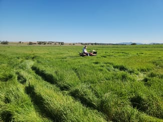 Rural / Farming commercial property sold at 152 Byamee Lane Tamworth NSW 2340