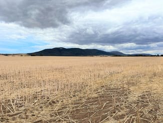 Rural / Farming commercial property sold at Sections 283 & 286 - 350 Duck Lake Road Wangary SA 5607 Rural / Farming commercial property sold at Sections 283 & 286 - 350 Duck Lake Road Wangary SA 5607