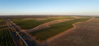 Rural / Farming commercial property for sale at 971 Wilga Road Red Cliffs VIC 3496 Rural / Farming commercial property for sale at 971 Wilga Road Red Cliffs VIC 3496