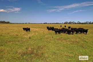 Rural / Farming commercial property for sale at Bradleys Road Stradbroke VIC 3851