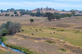 Rural / Farming commercial property sold at 595 Ancona Road Ancona VIC 3715