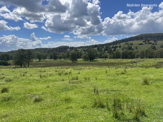 Rural / Farming commercial property sold at 'Mt Clear'/* Morven Road Dundee NSW 2370