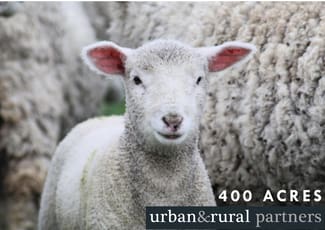 Rural / Farming commercial property sold at 37 Ridgway Road Lameroo SA 5302 Rural / Farming commercial property sold at 37 Ridgway Road Lameroo SA 5302