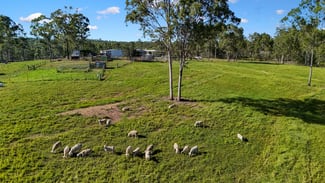 Rural / Farming commercial property sold at 785 Rainbows Road Kullogum QLD 4660 Rural / Farming commercial property sold at 785 Rainbows Road Kullogum QLD 4660