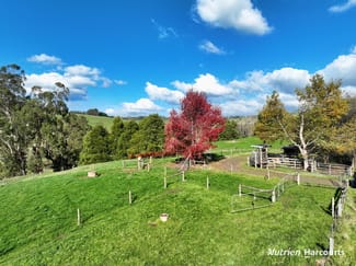 Rural / Farming commercial property sold at 175 Fishers Road Boolarra South VIC 3870 Rural / Farming commercial property sold at 175 Fishers Road Boolarra South VIC 3870