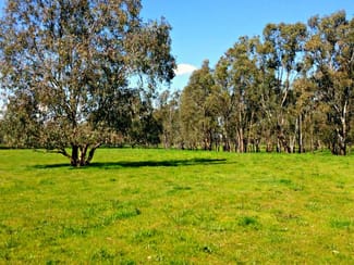 Rural / Farming commercial property sold at Leeton NSW 2705