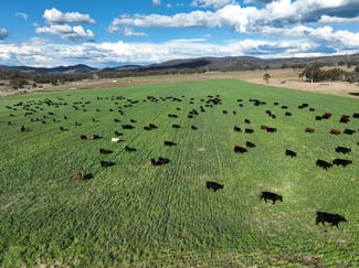 Rural / Farming commercial property sold at 1380 Bezzants Road Deepwater NSW 2371 Rural / Farming commercial property sold at 1380 Bezzants Road Deepwater NSW 2371