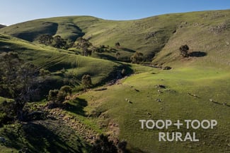 Rural / Farming commercial property sold at 279/ Three Chain Road Sanderston SA 5237