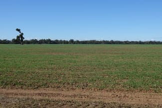 Rural / Farming commercial property sold at 2557 Back Gular Road "Budgeon"' Combara NSW 2829 Rural / Farming commercial property sold at 2557 Back Gular Road "Budgeon"' Combara NSW 2829