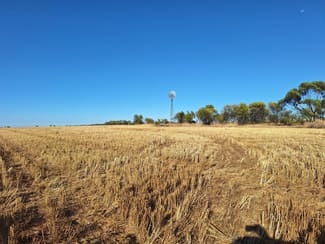 Rural / Farming commercial property for sale at Lot 801 Carnamah - Perenjori Road Carnamah WA 6517