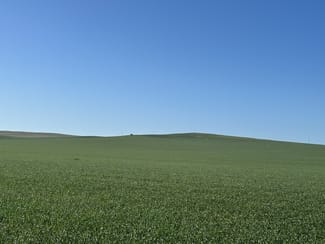 Rural / Farming commercial property sold at 'The Block' Section Smart Road Belalie North SA 5491