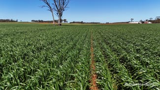 Rural / Farming commercial property sold at 5670 Soldiers Road West Holleton WA 6369