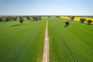 Rural / Farming commercial property sold at 383 O'Brien Road Springhurst VIC 3682 Rural / Farming commercial property sold at 383 O'Brien Road Springhurst VIC 3682