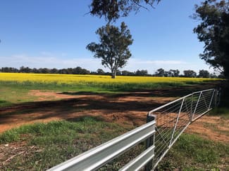 Rural / Farming commercial property sold at Lot 155 DP750852 Burley Griffin Way Ariah Park NSW 2665