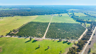 Rural / Farming commercial property for sale at Sepelts Road Barooga NSW 3644