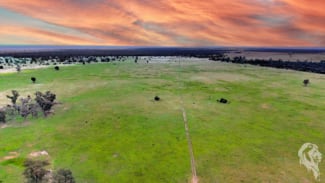 Rural / Farming commercial property sold at 1857 Stumpy Lane Wee Waa NSW 2388 Rural / Farming commercial property sold at 1857 Stumpy Lane Wee Waa NSW 2388