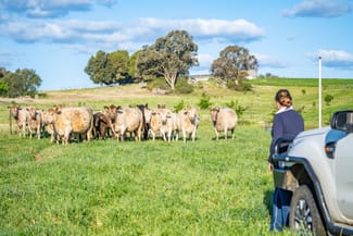 Rural / Farming commercial property sold at Canowindra Road Cowra NSW 2794 Rural / Farming commercial property sold at Canowindra Road Cowra NSW 2794