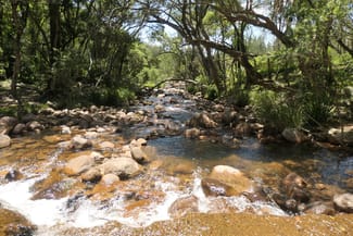 Rural / Farming commercial property sold at 29/ Rocky River Road Rocky River NSW 2372 Rural / Farming commercial property sold at 29/ Rocky River Road Rocky River NSW 2372