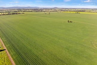 Rural / Farming commercial property sold at 1510 Weedallion Road Young NSW 2594 Rural / Farming commercial property sold at 1510 Weedallion Road Young NSW 2594