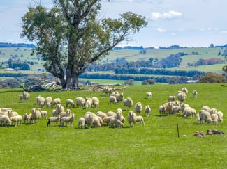 Rural / Farming commercial property sold at 3444 Laggan Road Crookwell NSW 2583