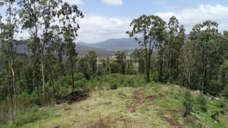 Rural / Farming commercial property for sale at 173 Knodingbul Forest Road Mount George NSW 2424 Rural / Farming commercial property for sale at 173 Knodingbul Forest Road Mount George NSW 2424