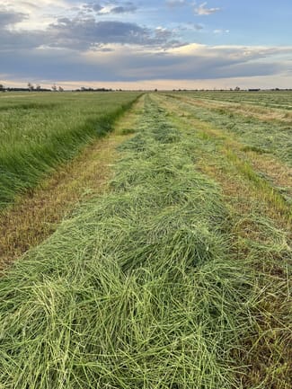 Rural / Farming commercial property for sale at 8499 Murray Valley Highway Kerang East VIC 3579 Rural / Farming commercial property for sale at 8499 Murray Valley Highway Kerang East VIC 3579