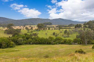 Rural / Farming commercial property for sale at 87 Norries Road Bunyah NSW 2429