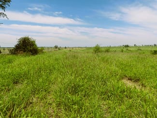 Rural / Farming commercial property sold at Surat QLD 4417 Rural / Farming commercial property sold at Surat QLD 4417
