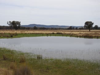 Rural / Farming commercial property sold at 192 Hoskin Lane Violet Town VIC 3669 Rural / Farming commercial property sold at 192 Hoskin Lane Violet Town VIC 3669