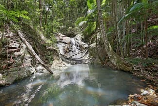 Rural / Farming commercial property for sale at 138 Araluen Road Tallebudgera Valley QLD 4228
