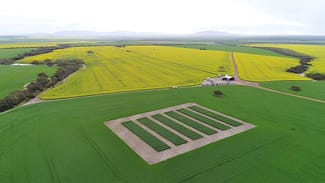 Rural / Farming commercial property sold at 402 Strawberry Hill Road Wanilla SA 5607