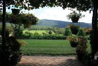 Rural / Farming commercial property sold at 1386 Bucca Road Nana Glen NSW 2450